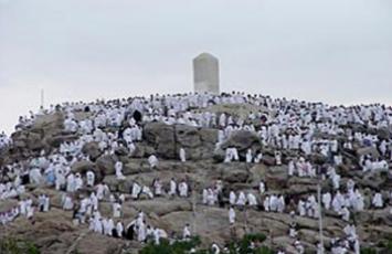 وقوف زائران در صحرای عرفات