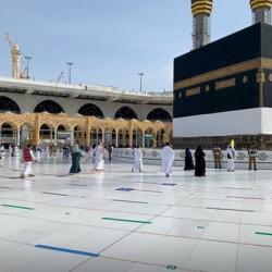 نخستین گروه زائران وارد سرزمین وحی شدند