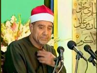 الشیخ راغب مصطفی غلوش 