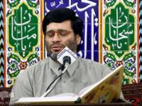 رضا صباغی